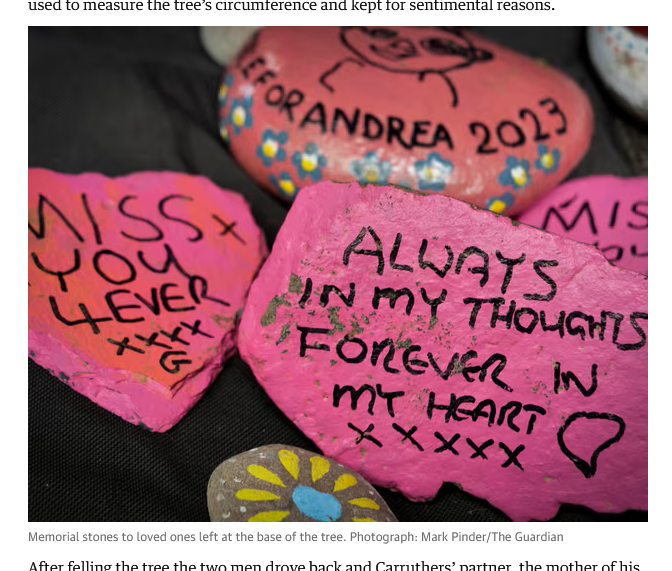 www.theguardian.com.png